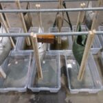 Bio afbreekbare tubes onder water testen